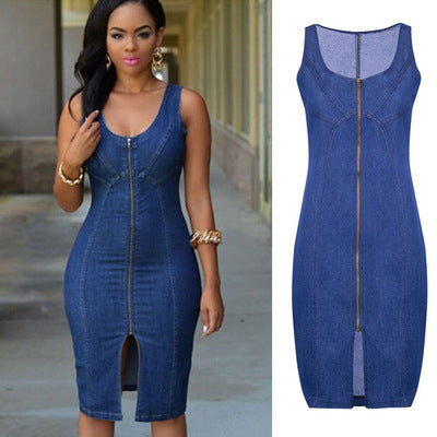 Shanxi Zipper Denim Dress